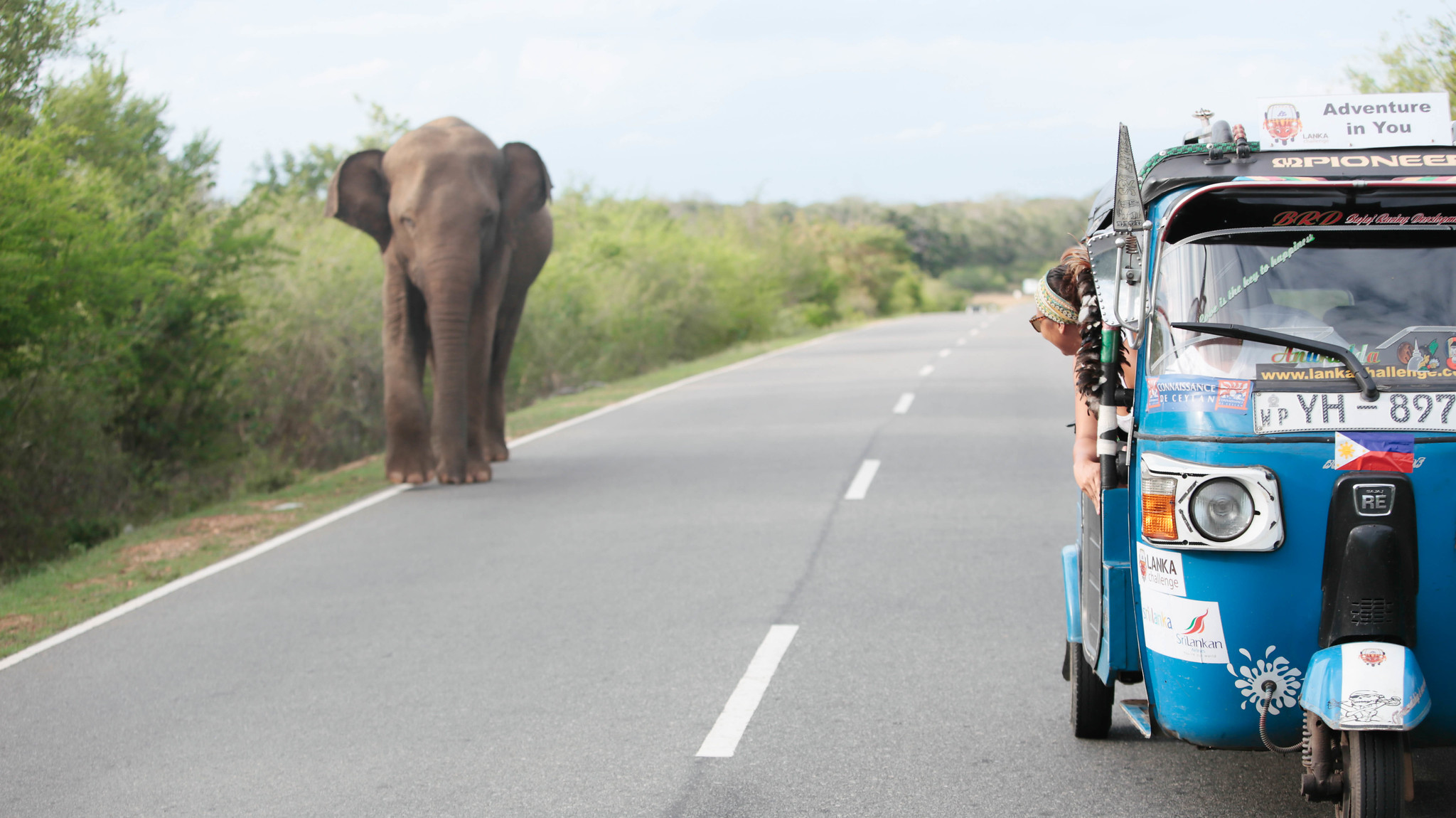 extraordinary travel festival adventures